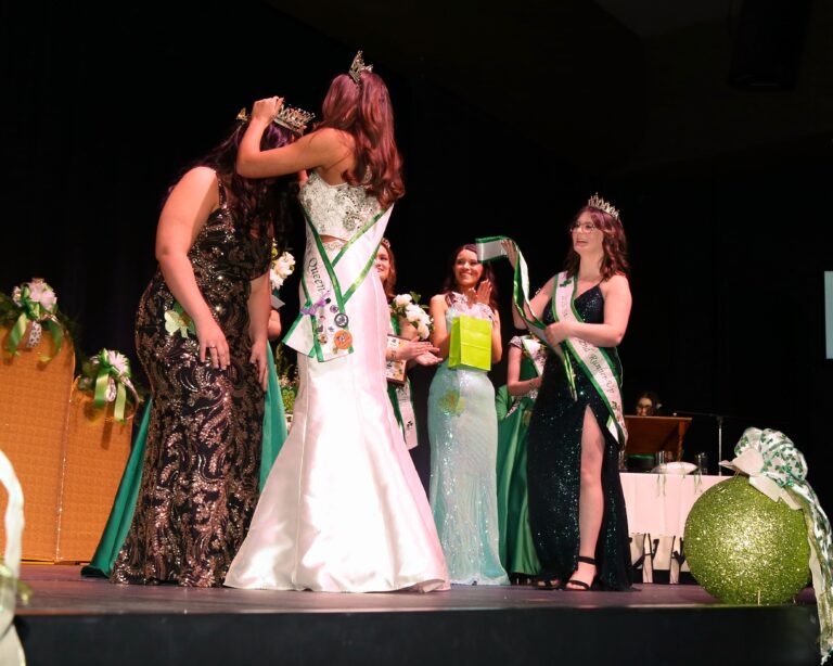 Digital Download V2-6D-2026-055